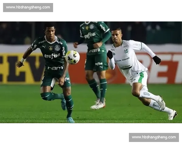 美国vs马提尼克实力对比战术解析与比赛走势前瞻关键球员表现预测